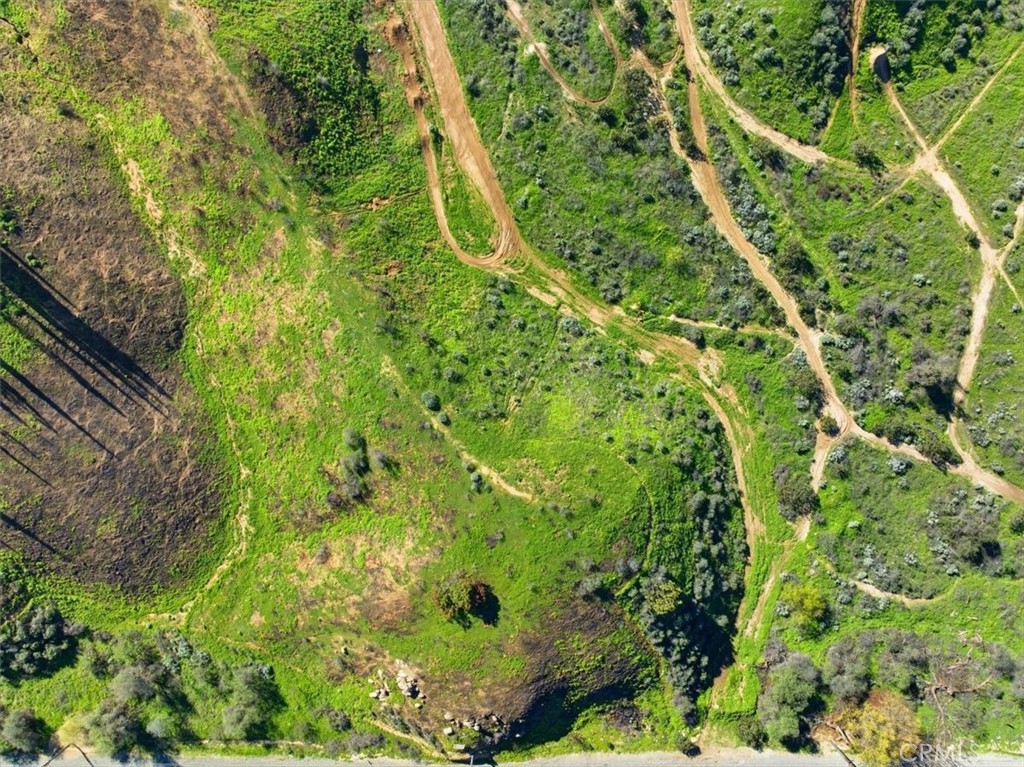 0 Sunrise Mesa Drive Riverside, CA 92504 - Photo 4 of 11 a view of a yard with plants