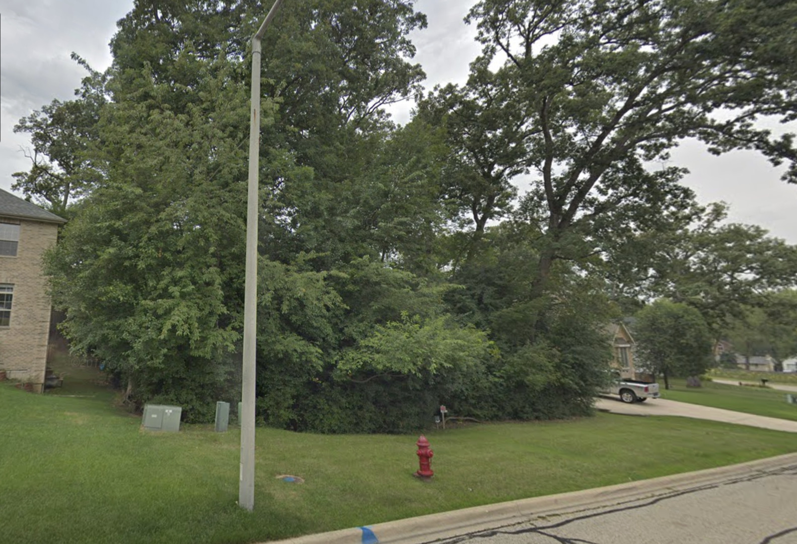 a view of a trees from a yard