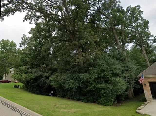 a view of yard with green space