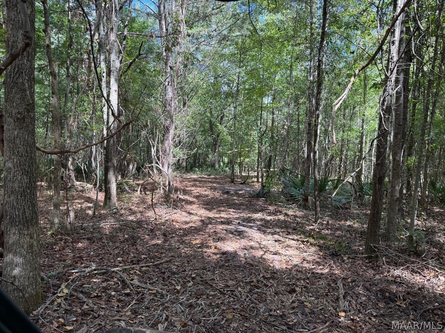 0 County Road 4 Road Fitzpatrick, AL 36029 - Photo 11 of 28 Gallery Image 11