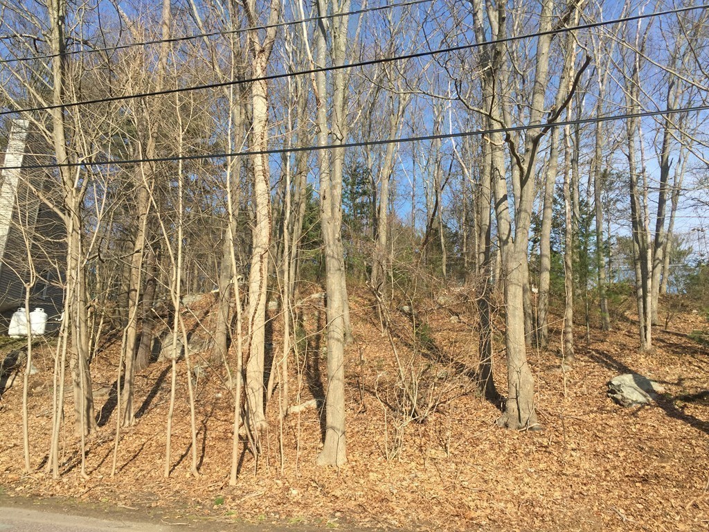 7 Pickman Road Beverly, MA 01915 - Photo 3 of 15 a bathroom with a shower