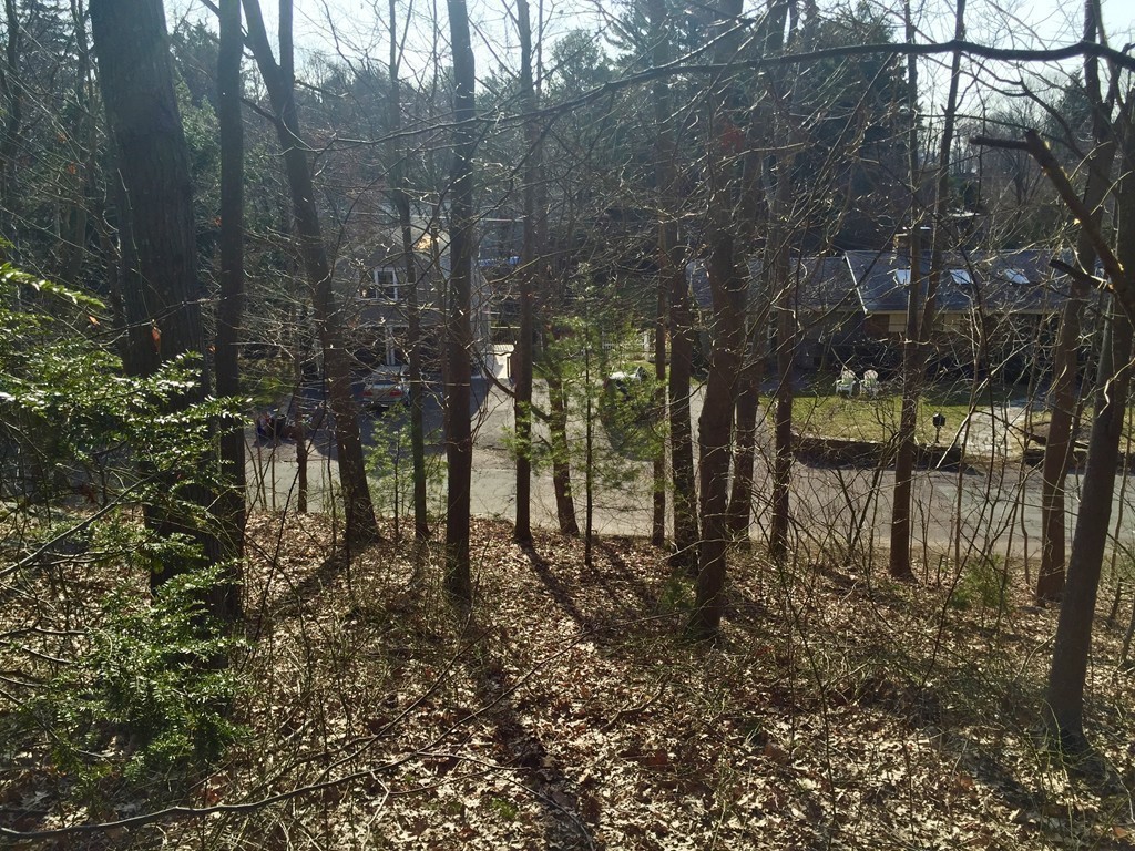 7 Pickman Road Beverly, MA 01915 - Photo 6 of 15 a backyard of a house with lots of green space