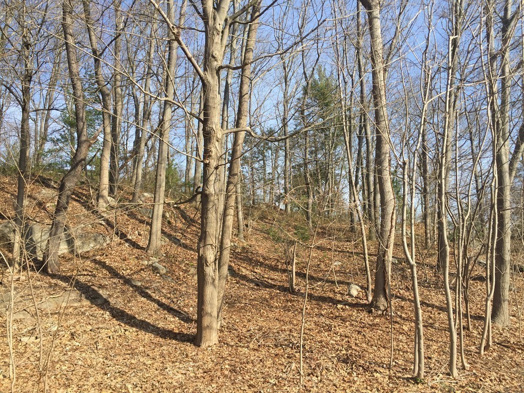 7 Pickman Road Beverly, MA 01915 - Photo 8 of 15 a bathroom with a shower