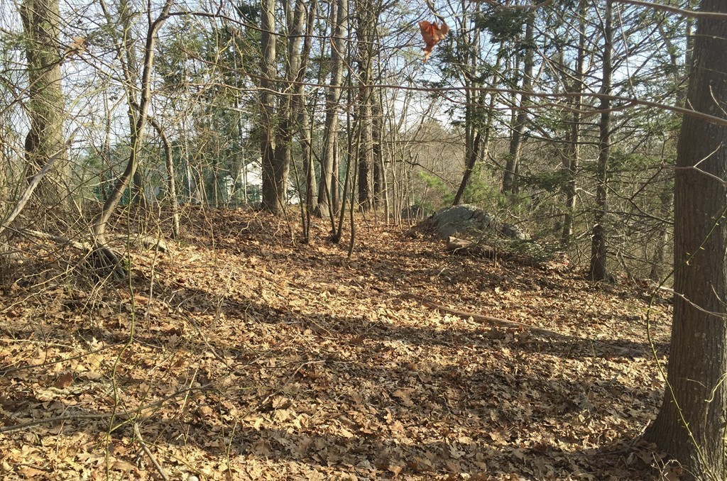 7 Pickman Road Beverly, MA 01915 - Photo 9 of 15 a view of a yard with large trees