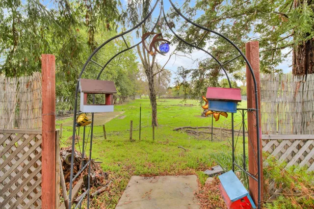 a view of a garden with a tree