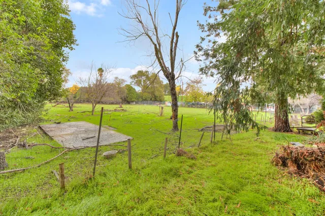 a view of a garden with an outdoor space
