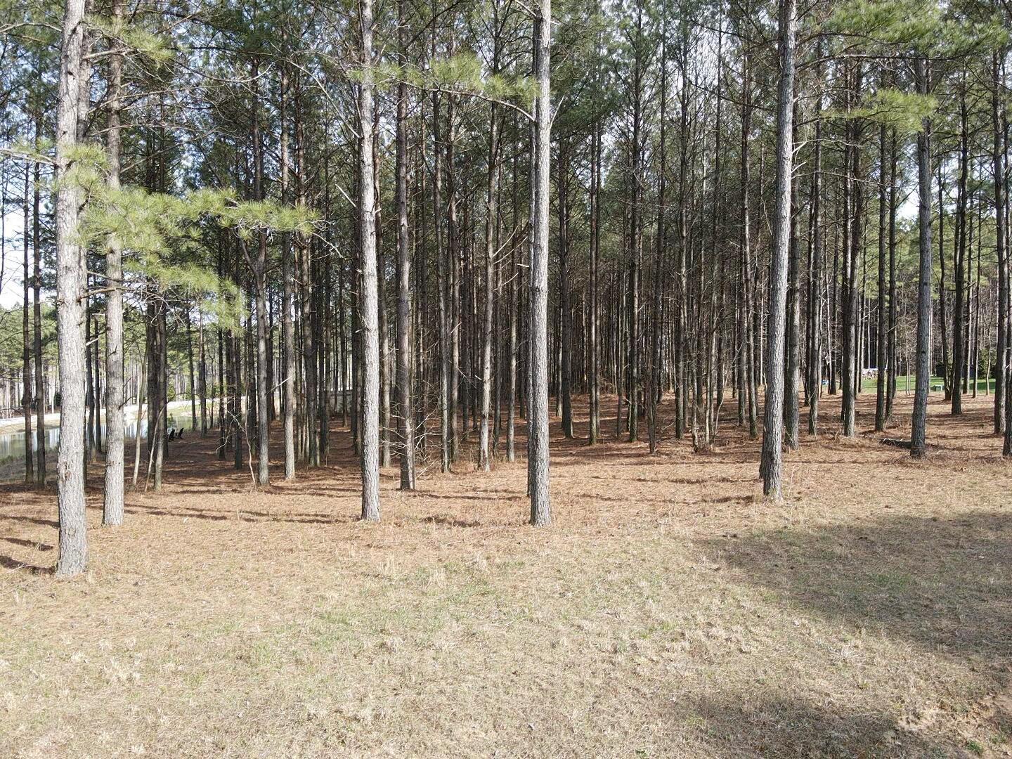 179 High Point Lane Jasper, TN 37347 - Photo 33 of 91 2024-03-21-16-12-46-310