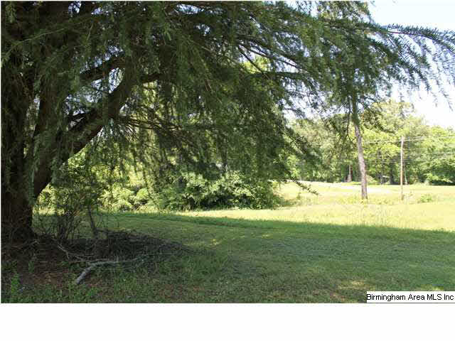 2010 Allison Mill Road Talladega, AL 35160 - Photo 4 of 8