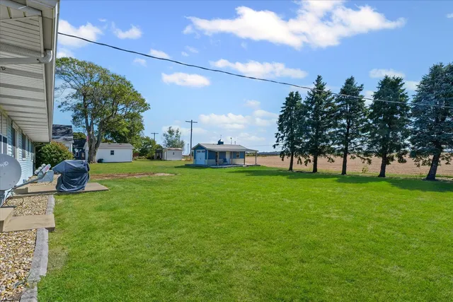 a view of yard with tree s