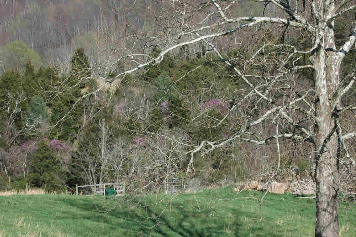 Lot J Springdale Road Pearisburg, VA 24134 - Photo 20 of 51 Gallery Image 20