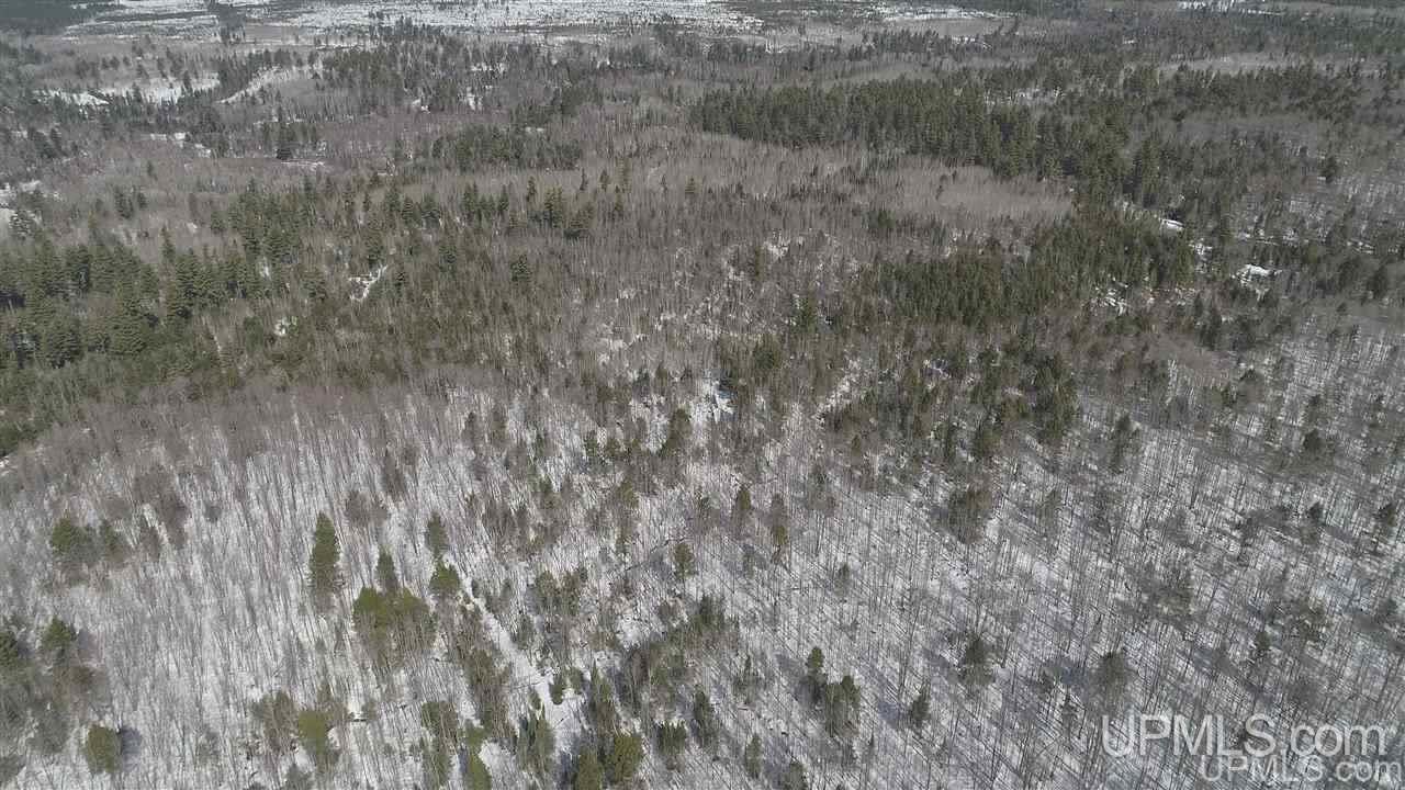 240-acres Leek Road Covington, MI 49919 - Photo 37 of 50