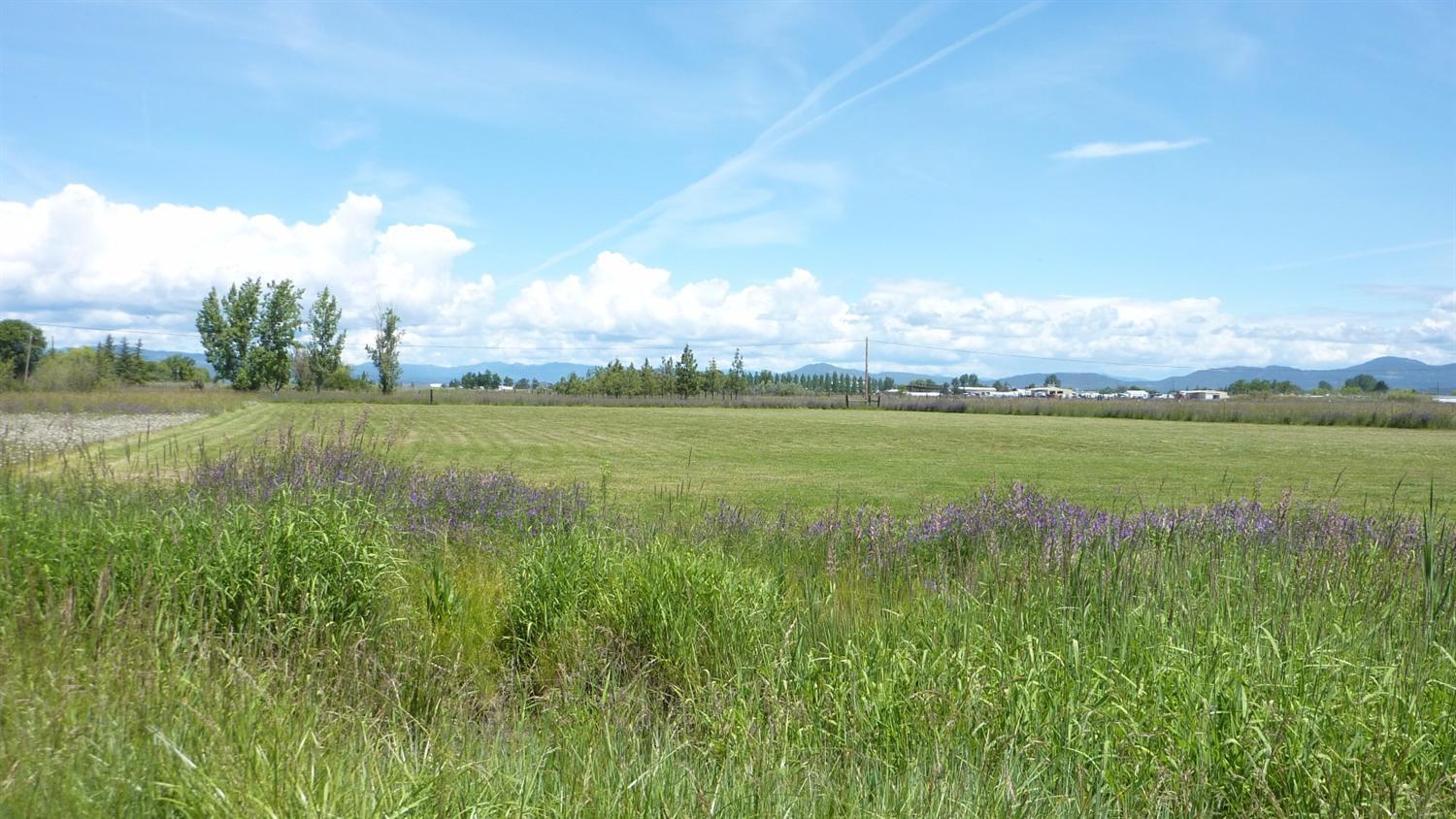 1033 Justice Road Central Point, OR 97502 - Photo 2 of 14 Additional Photo