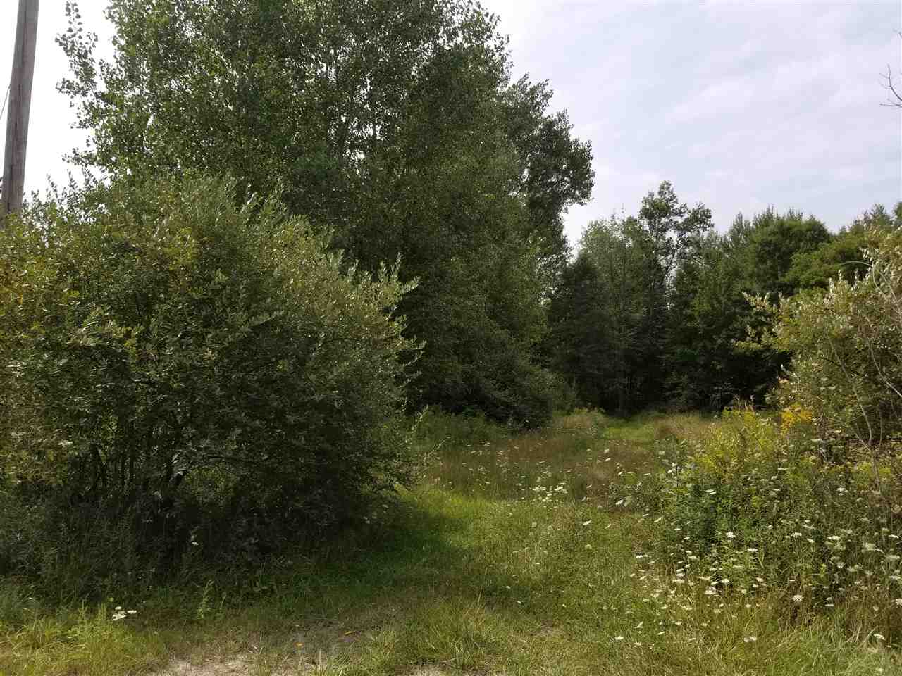 5720 South Chapin Road Merrill, MI 48637 - Photo 1 of 4