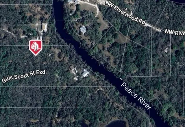 a view of a tree with a yard