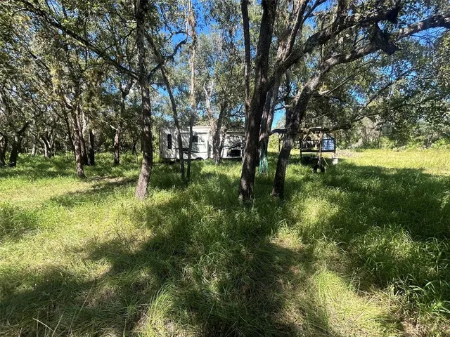 a view of backyard with green space