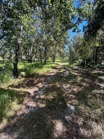 a fire hydrant in the middle of a field