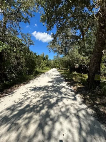 a view of a yard with plants and large trees