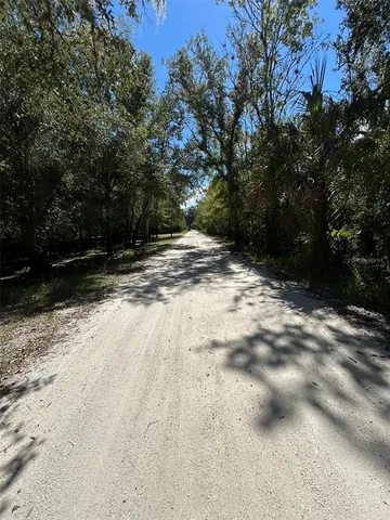 a view of water covered with trees