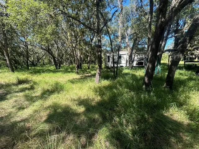 a view of yard with green space