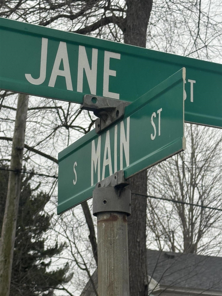 331 South Main Street Bellevue, MI 49021 - Photo 6 of 15