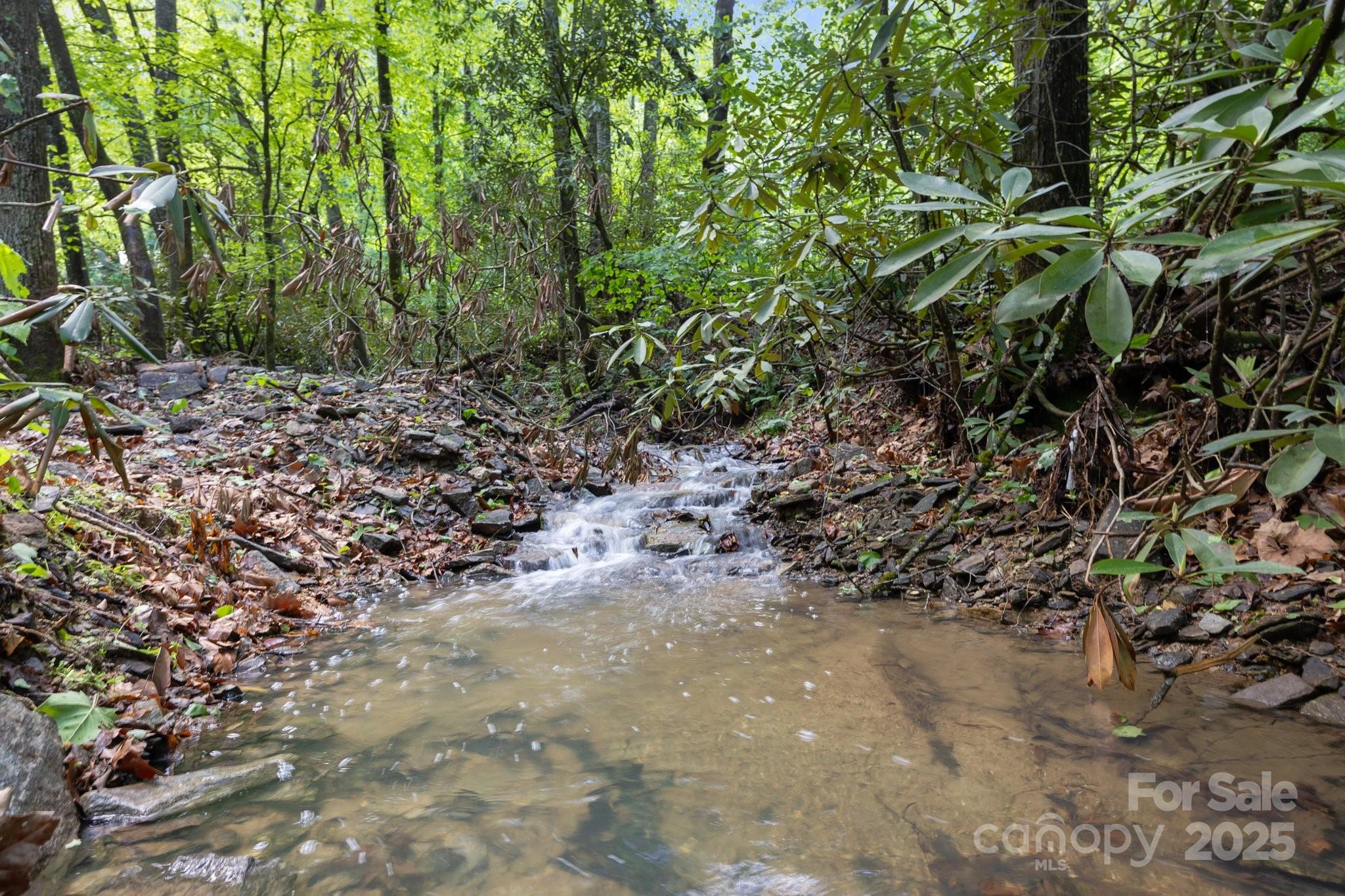 215 Calm Creek Road Fletcher, NC 28732 - Photo 13 of 43