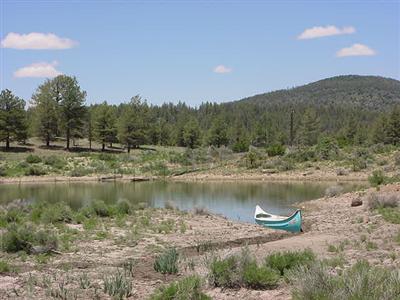 0 3aspring Valley Road Parks, AZ 86018 - Photo 3 of 5 Additional Photo