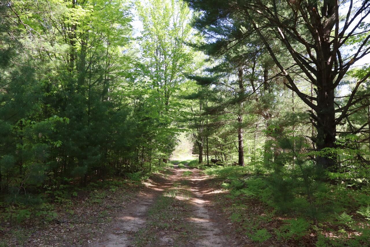 11547 1 Mile Road Leroy, MI 49655 - Photo 9 of 73 9_B
