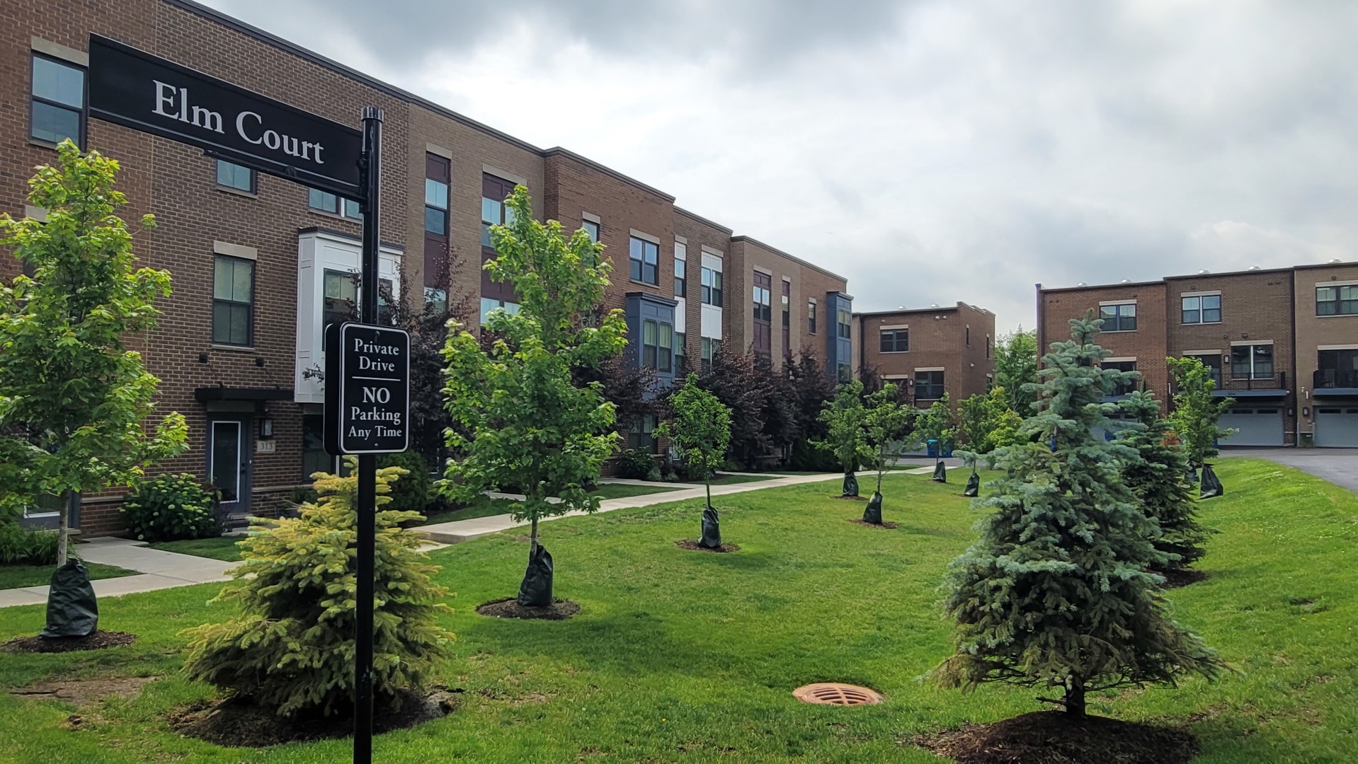 315 Elm Ct. Mount Prospect, IL 60056 - Photo 1 of 58