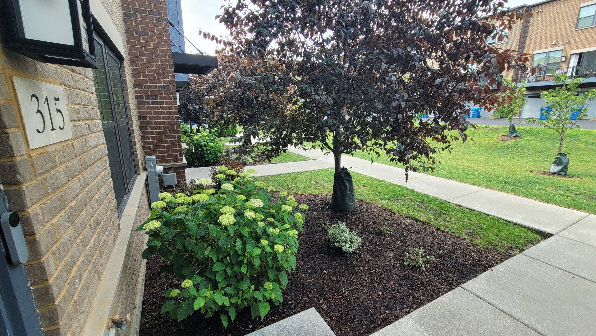 315 Elm Ct. Mount Prospect, IL 60056 - Photo 4 of 58