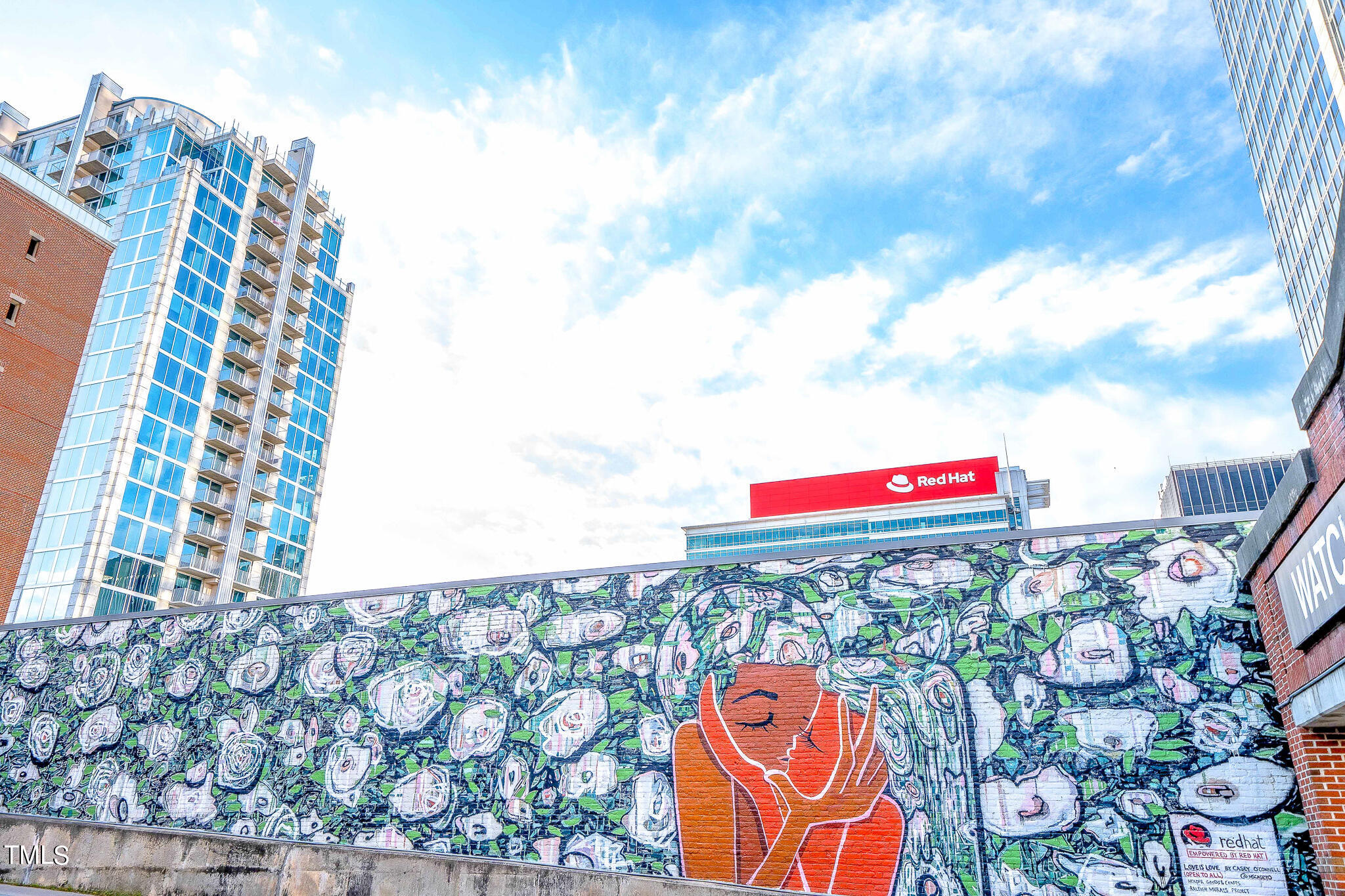 511 South Bloodworth Street, Unit 101 Raleigh, NC 27601 - Photo 50 of 51