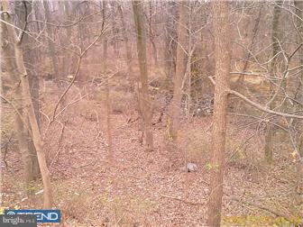 9145 Ryerson Road Philadelphia, PA 19114 - Photo 3 of 12 Exterior Back