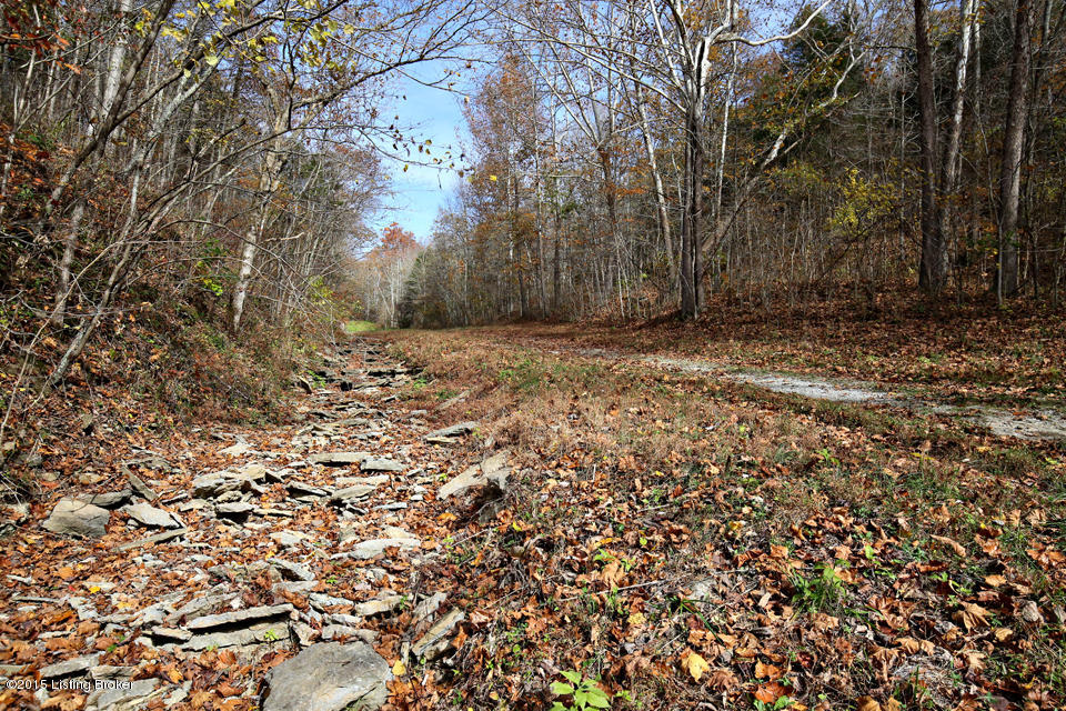 405-407 East Prong Locust Road Milton, KY 40045 - Photo 43 of 51 LREP0108