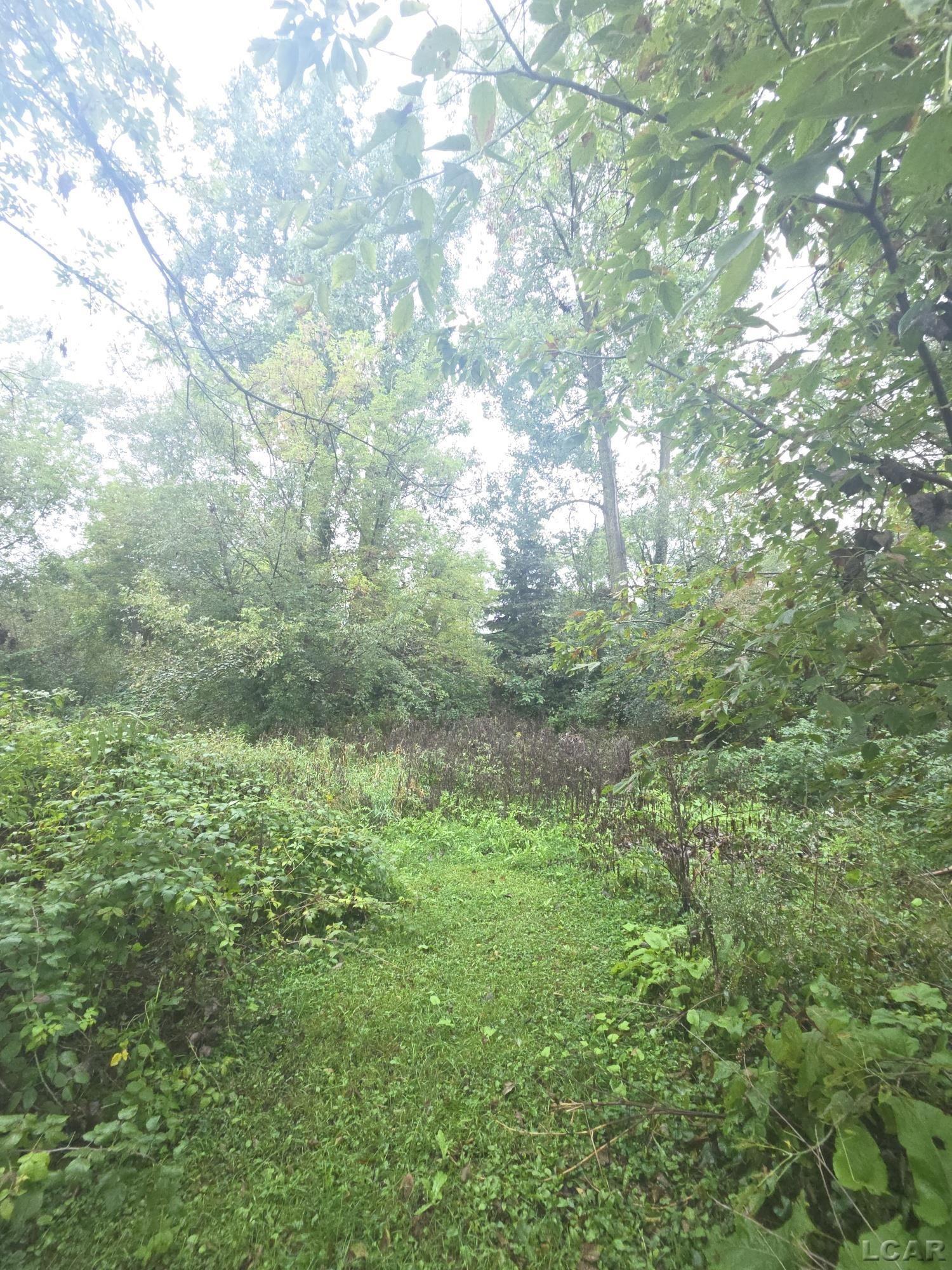 942 Munith Road Jackson, MI 49201 - Photo 12 of 50 50222367-a004a738-5415-444e-8c6c-ec4a493d2c71.JPG