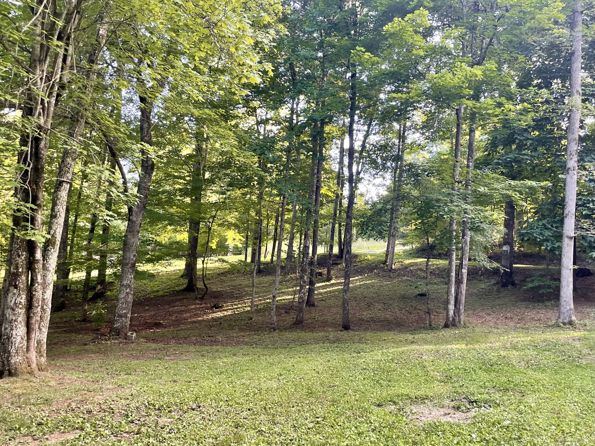 308 Ridge Road Monterey, TN 38574 - Photo 32 of 41 Gallery Image 32
