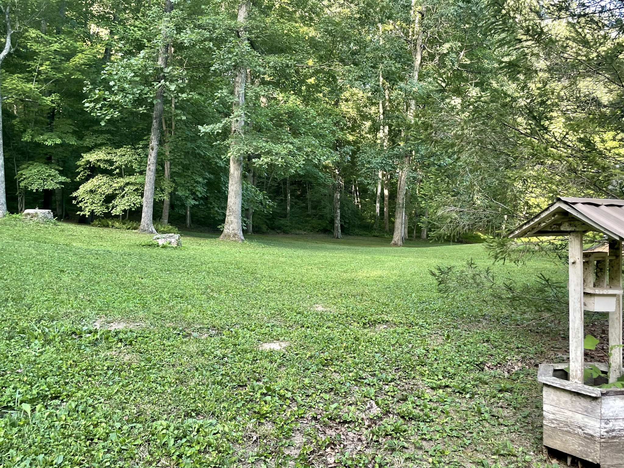 308 Ridge Road Monterey, TN 38574 - Photo 34 of 41 Gallery Image 34
