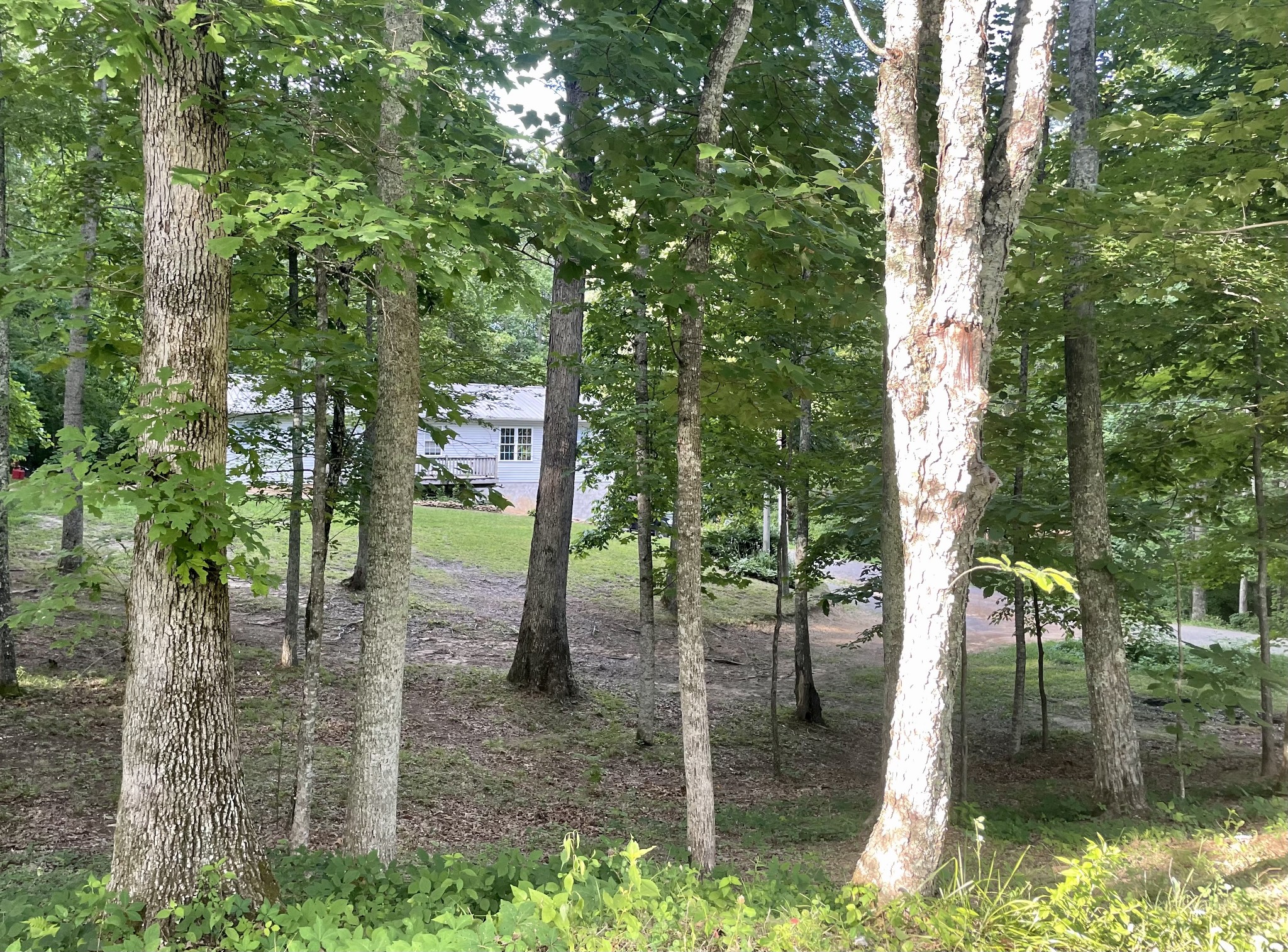 308 Ridge Road Monterey, TN 38574 - Photo 38 of 41 Gallery Image 38