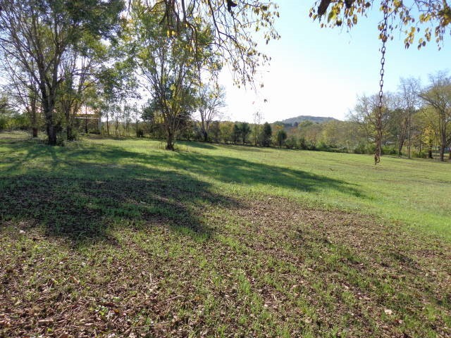 a view of field with trees