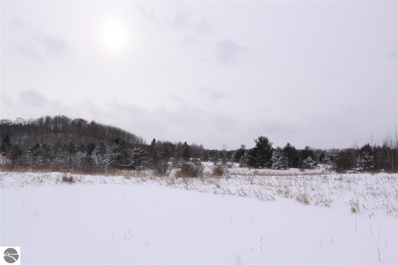 10320 East 12 Road Manton, MI 49663 - Photo 14 of 55 1791420-13.JPG