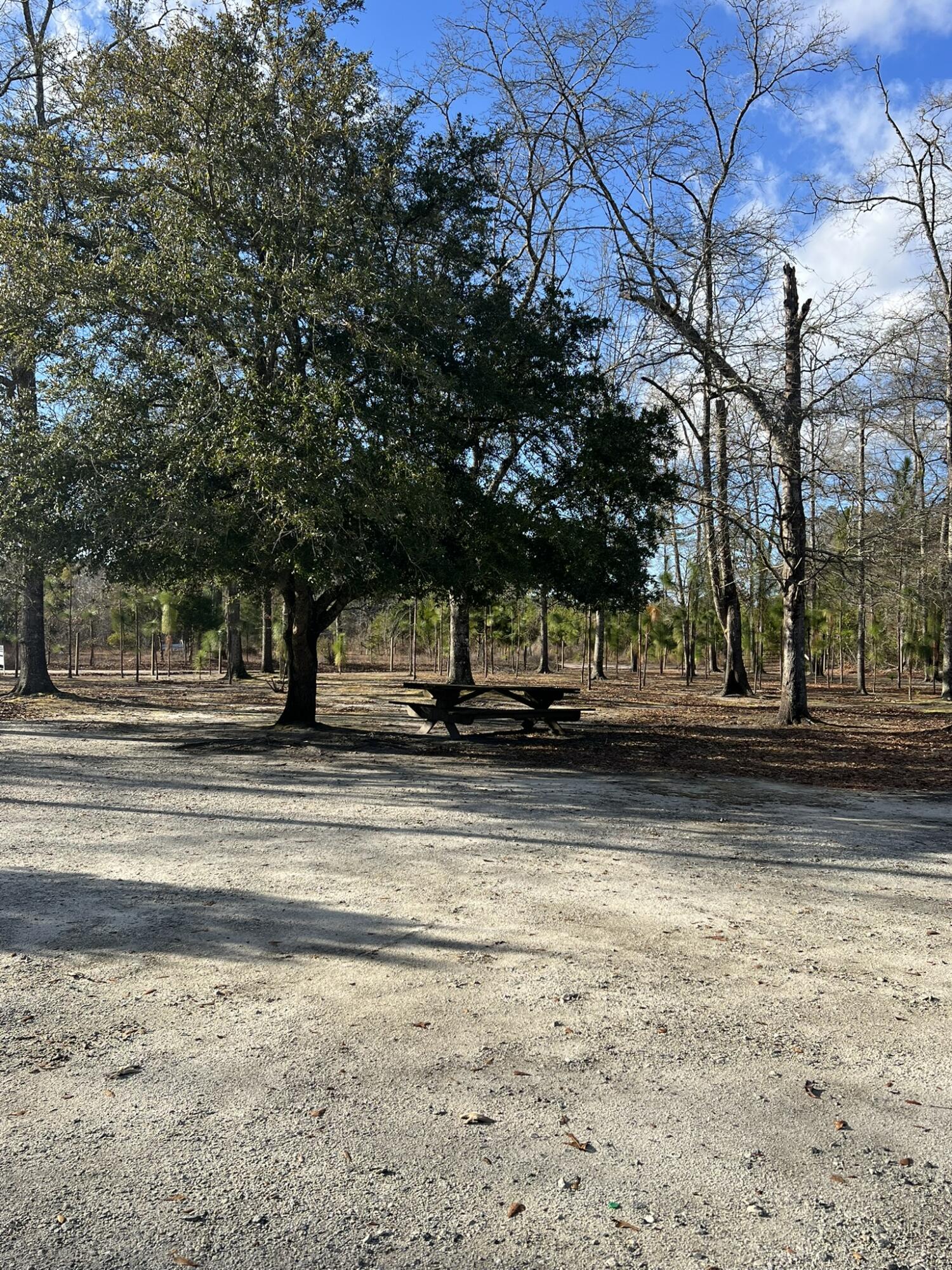 0 Turner Lane Round O, SC 29474 - Photo 12 of 17 00T front yard facing rd
