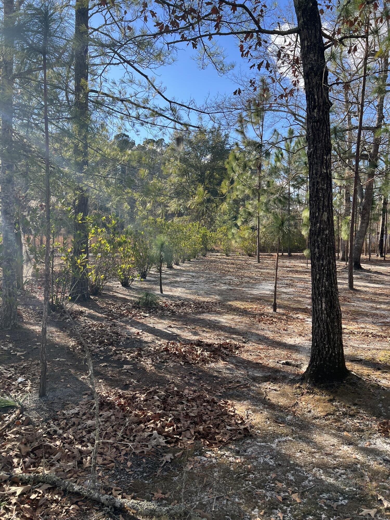 0 Turner Lane Round O, SC 29474 - Photo 13 of 17 00T side yard