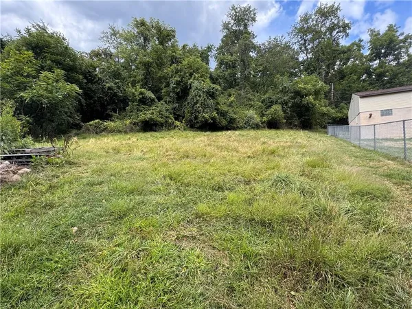 a view of a yard with plants and large trees