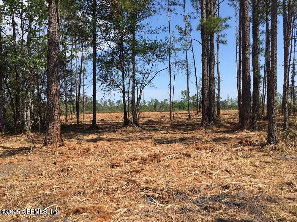 0 103rd Street Jacksonville, FL 32221 - Photo 7 of 10 20250707154756633871000000-o