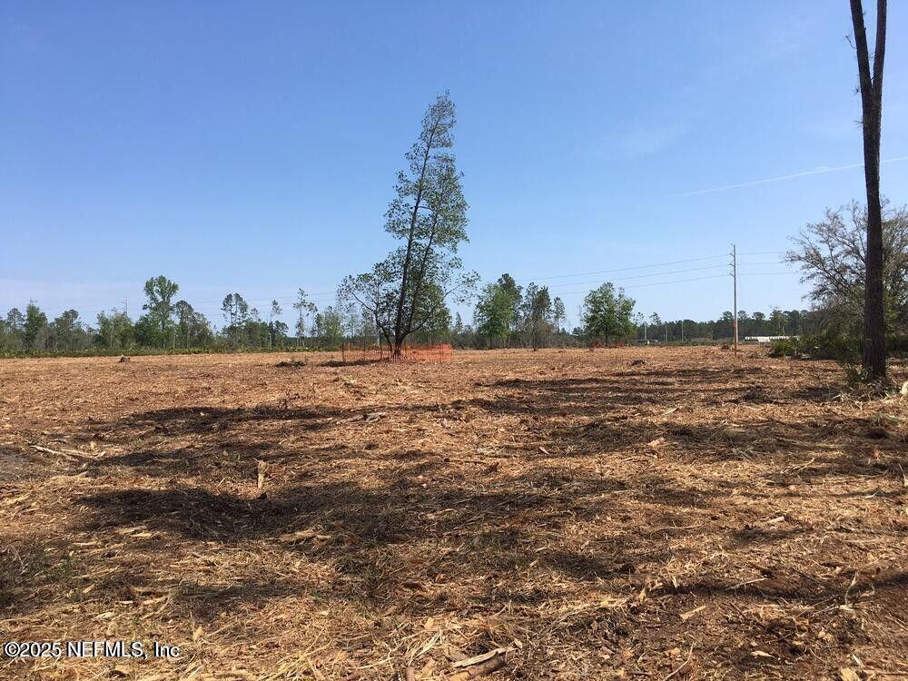 0 103rd Street Jacksonville, FL 32221 - Photo 8 of 10 20250707154756633992000000-o