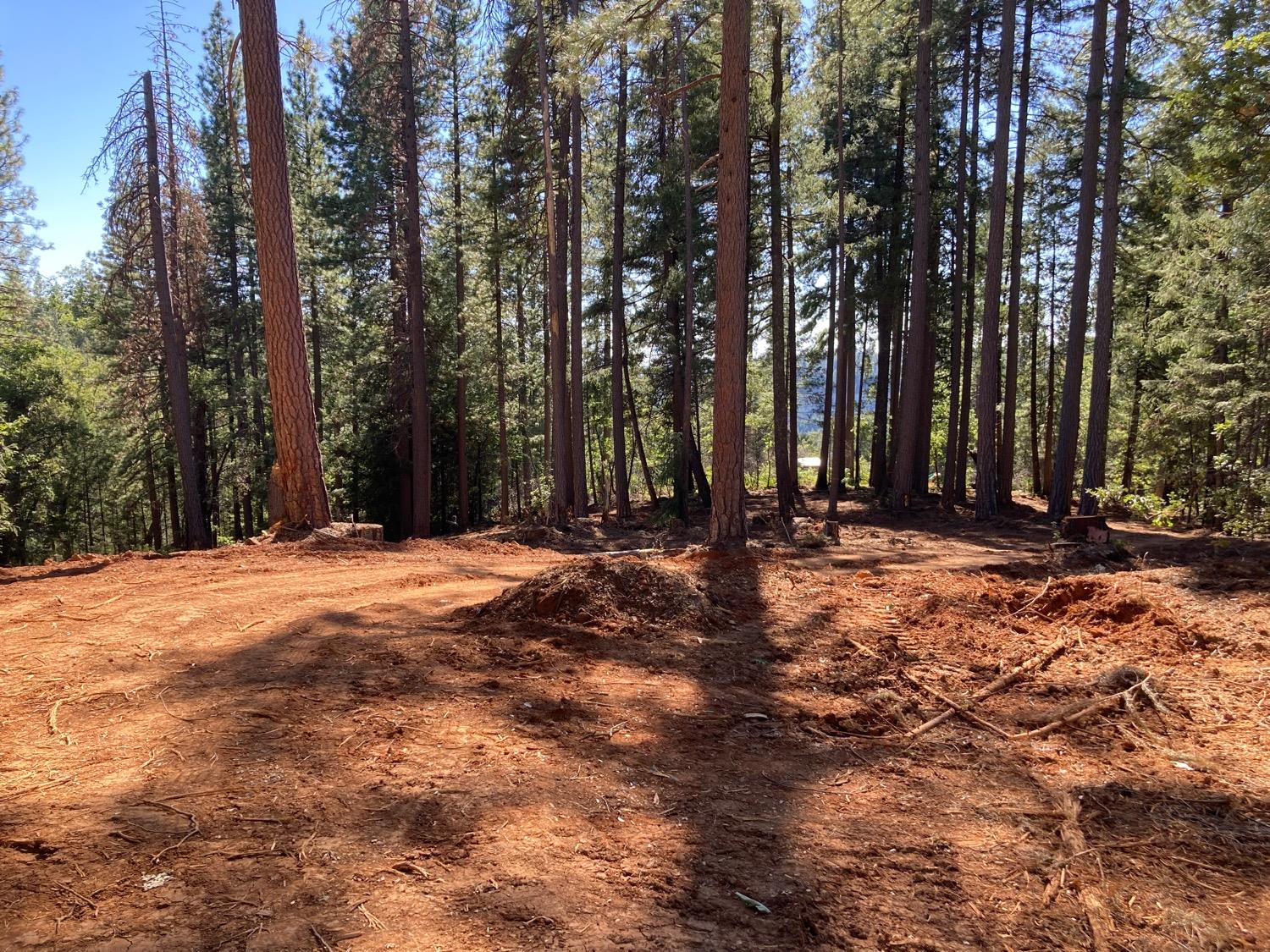 3056 Moody Ridge Road Gold Run, CA 95717 - Photo 1 of 1 newly cleared and road gives access to the entire parcel