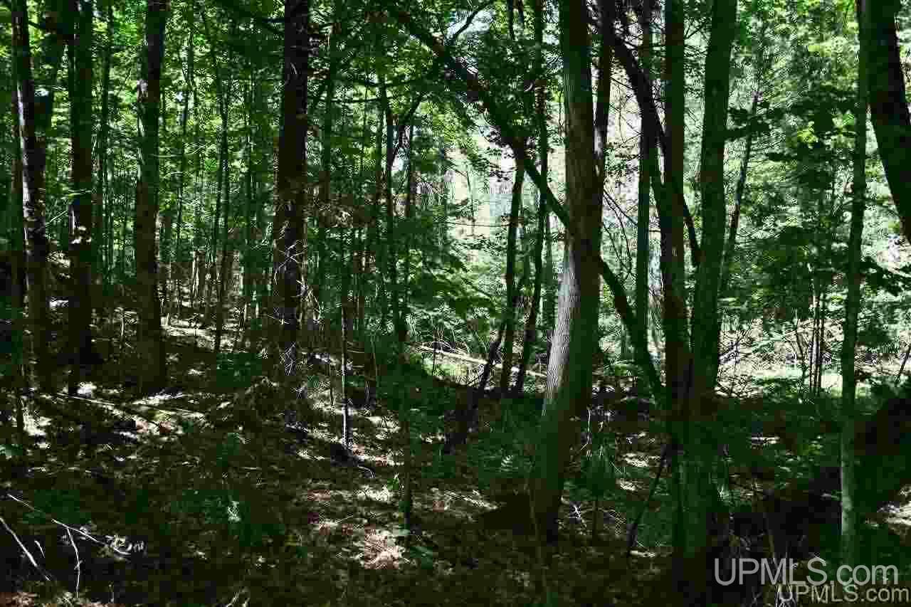 1125 Cooper Lake Road Ishpeming, MI 49849 - Photo 3 of 32