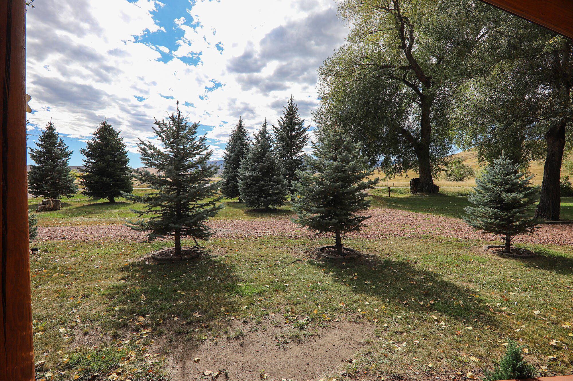 183185 Bird Farm Road Sheridan, WY 82833 - Photo 30 of 82 28.