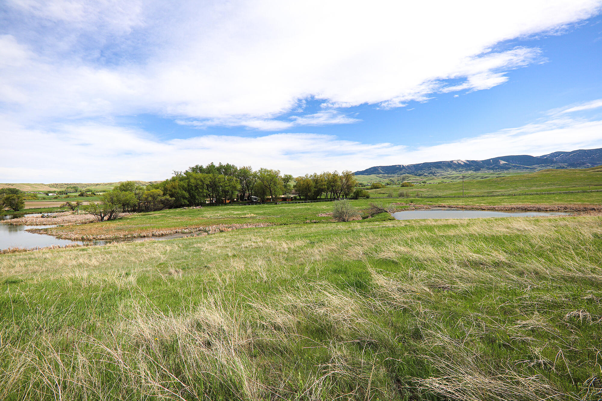 183185 Bird Farm Road Sheridan, WY 82833 - Photo 55 of 82 7.