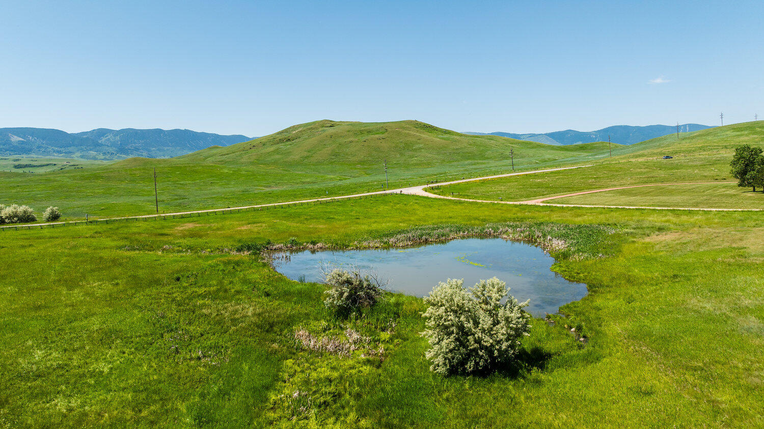 183185 Bird Farm Road Sheridan, WY 82833 - Photo 63 of 82 016_dji_20250620112108_0160_d_479