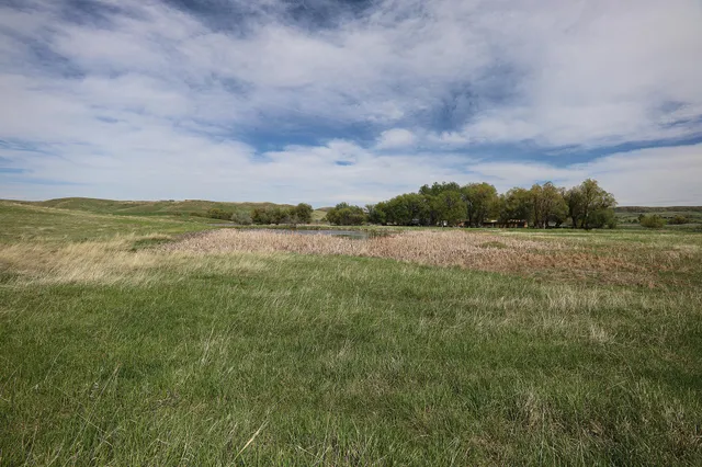 $2,100,000 | 183185 Bird Farm Road, Sheridan, WY 82833