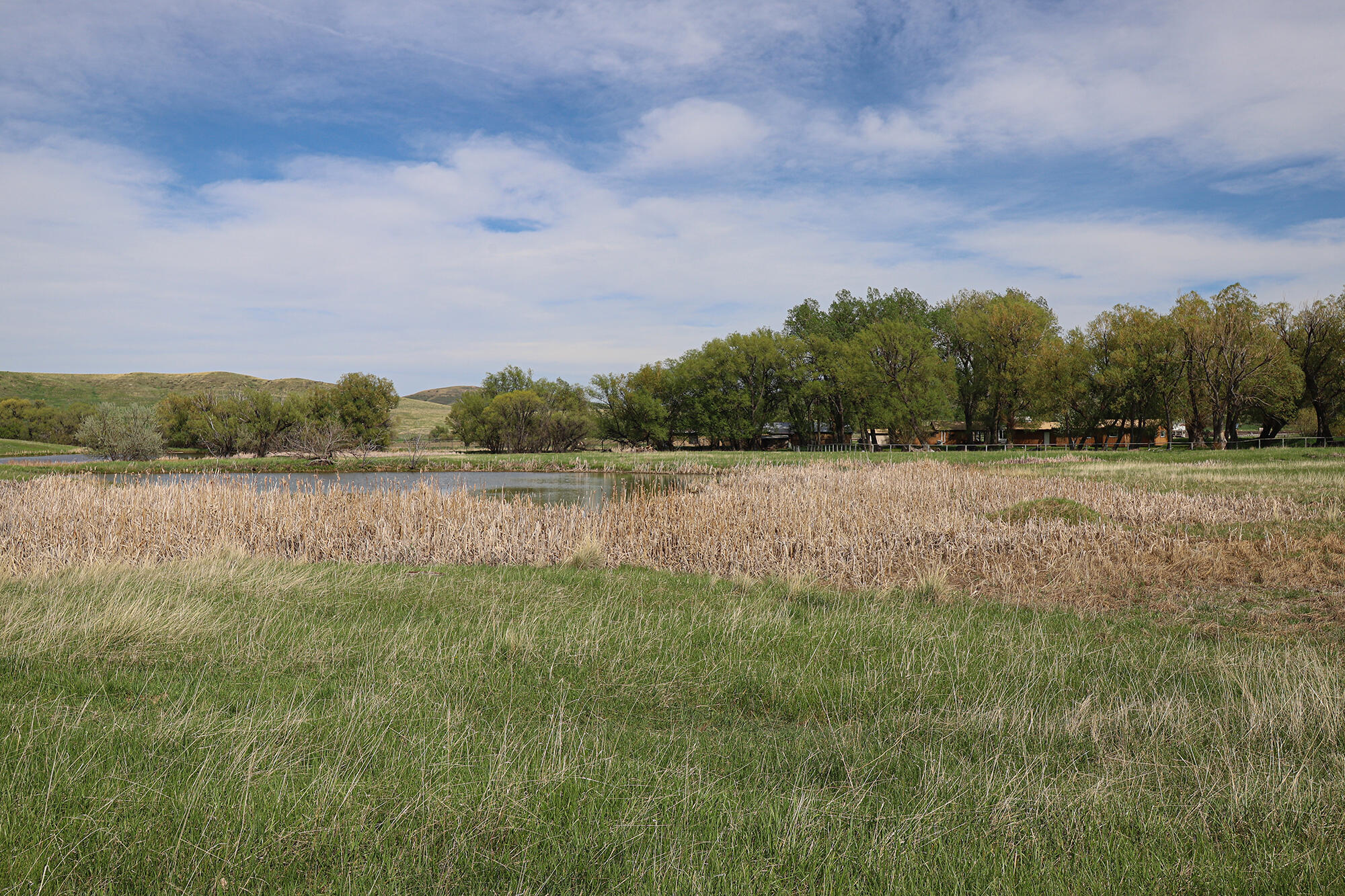 183185 Bird Farm Road Sheridan, WY 82833 - Photo 72 of 82 d.